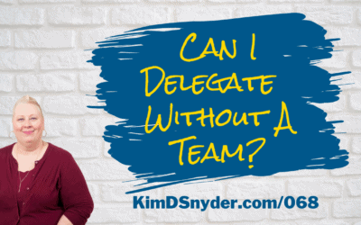 068 Can I Delegate Without A Team?
